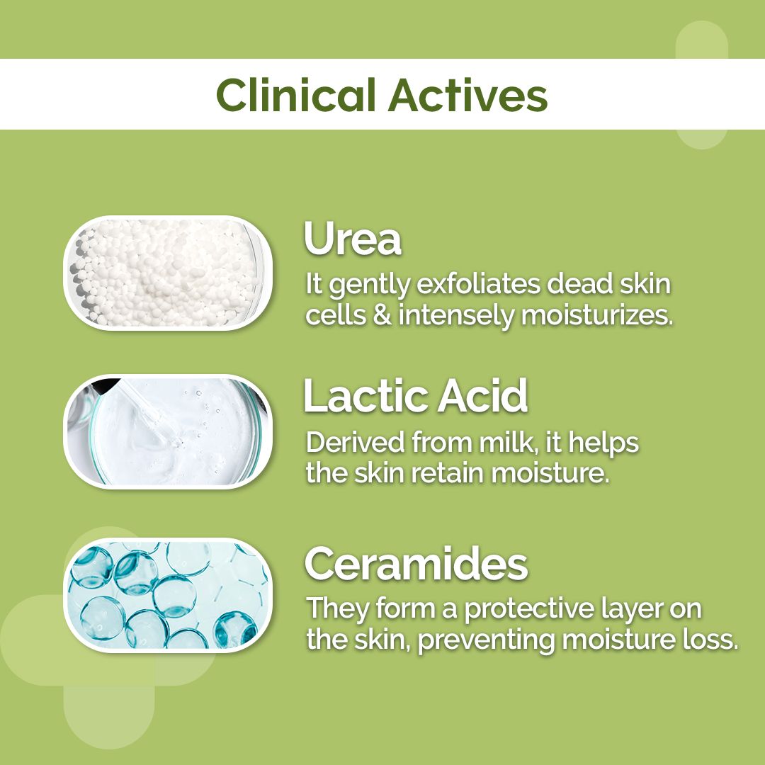 Derma Co 4% Urea Deep Moisturizing Cream with Urea, Lactic Acid, and Ceramide Complex - 100g