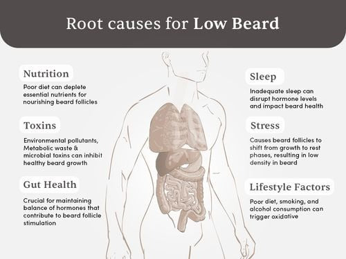 Man Matters Beard & Body Wellness Combo