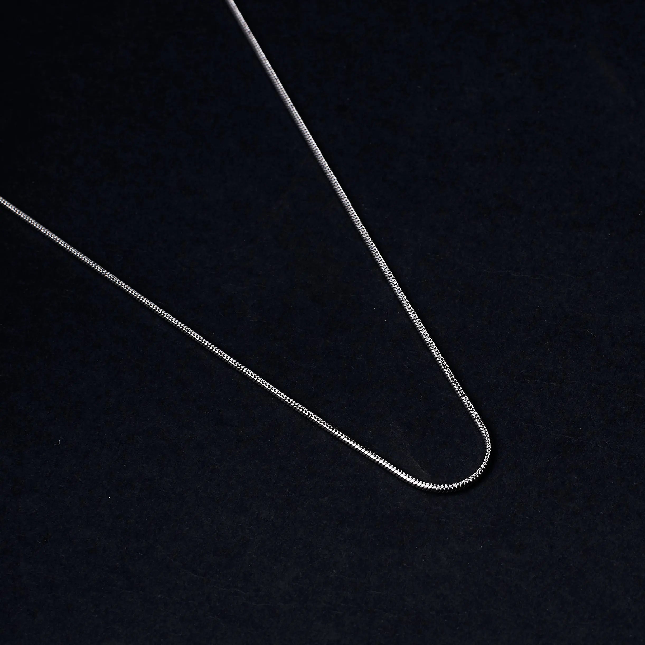 Salty Round Snake Silver Chain