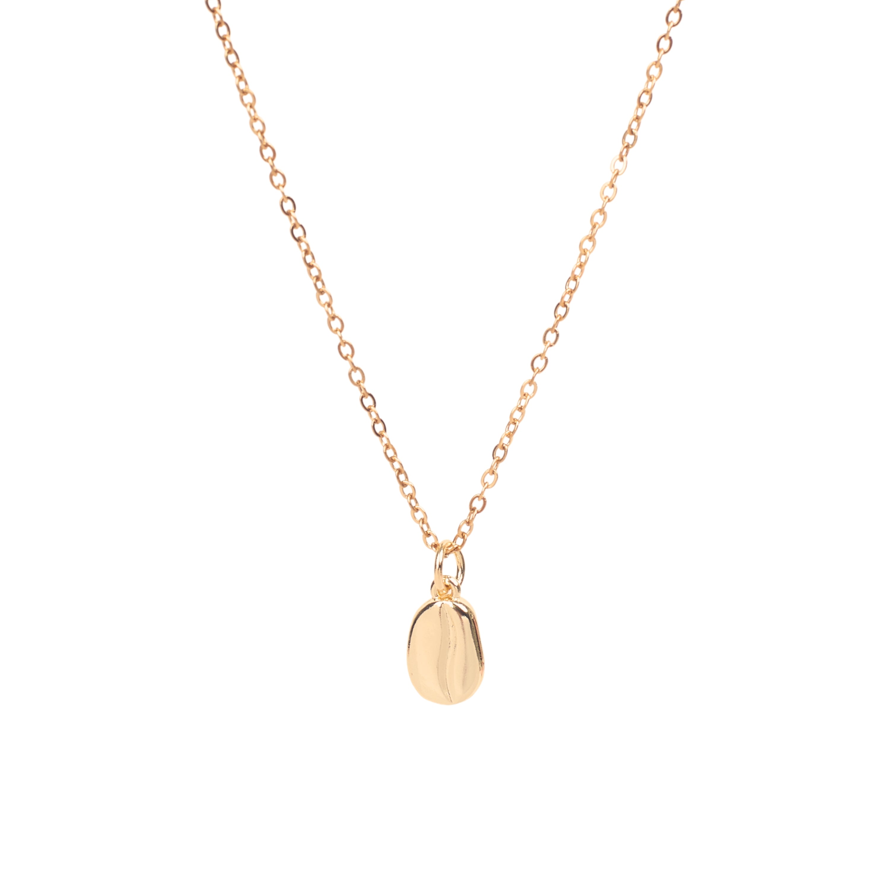 Salty Seashell Charm Necklace