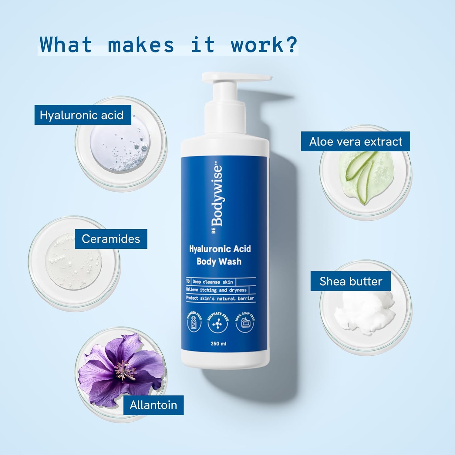 Be Bodywise Hyaluronic & Ceramide Body Wash