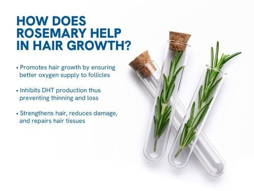 Be Bodywise Total Hair & Health Nutrition Trio