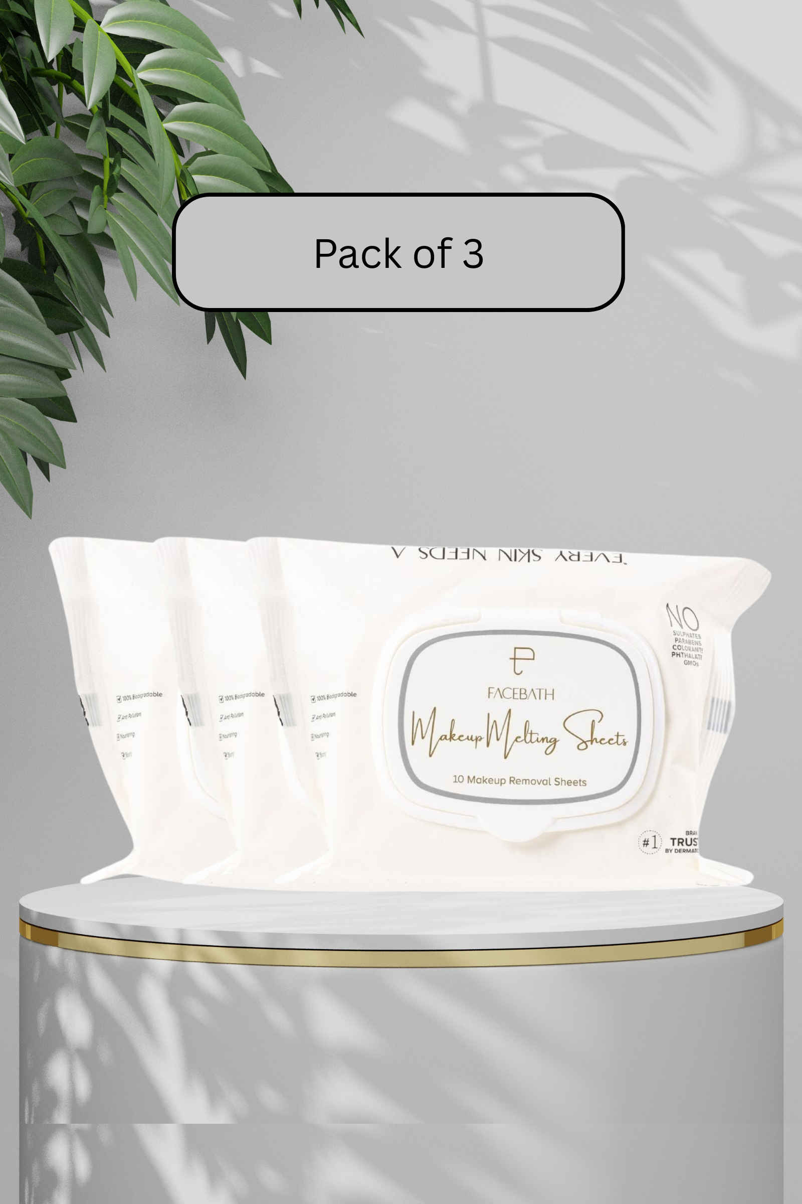 Personal Touch Makeup Melting Skin Care Wipes (10 Sheets) - Pack of 3