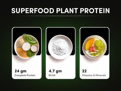 Man Matters Plant Protein Powder (500 gm)