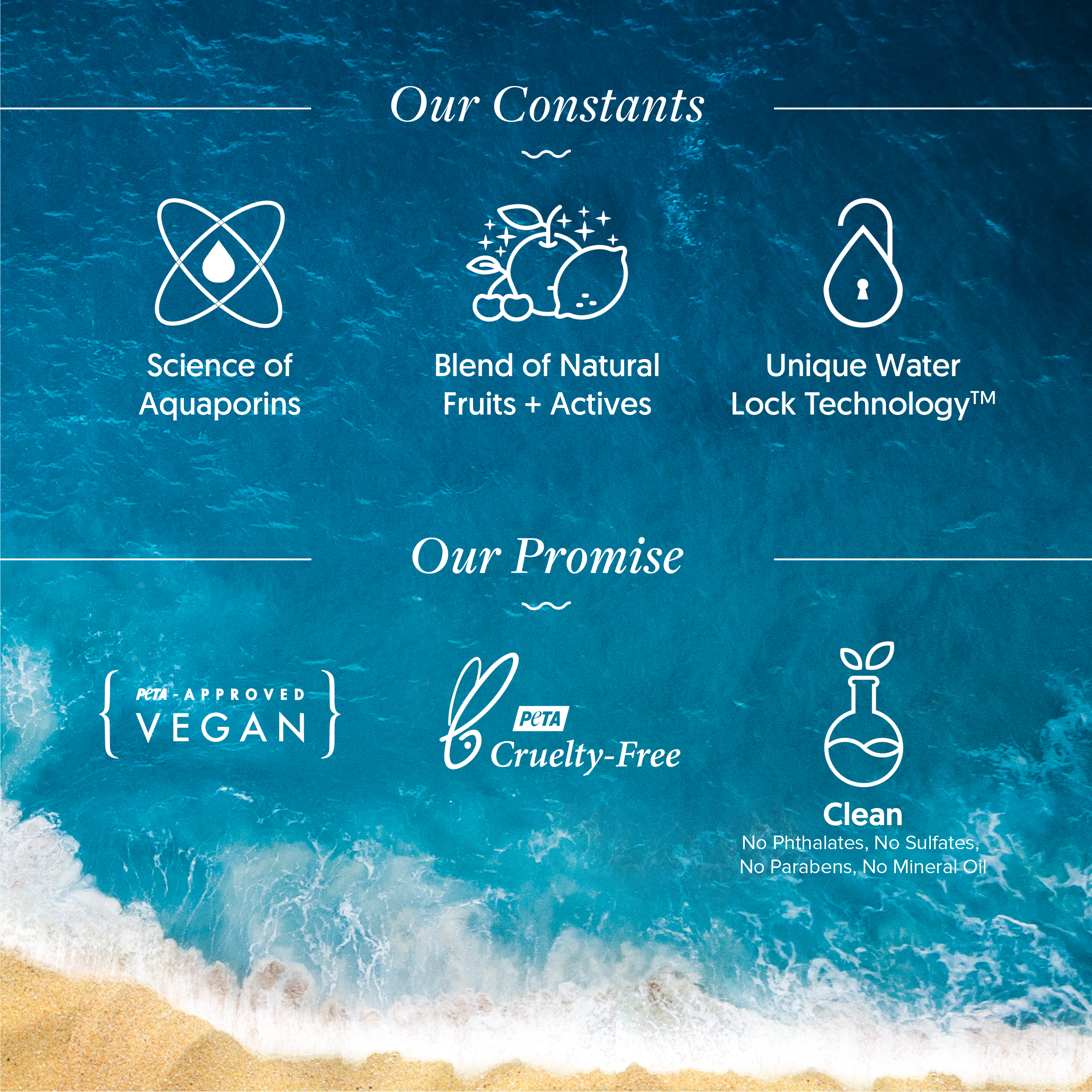 Aqualogica Detan+ Concentrate Face Serum - 30ml