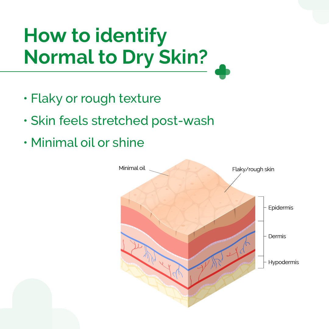 Derma Co 5% Nia-Ceramide Daily Hydrating Moisturizer
