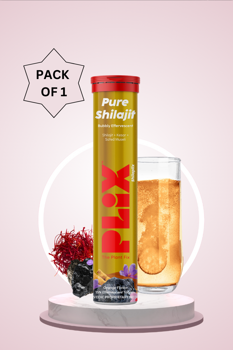 Plix Shilajit Effervescent - 15 Tablets (Orange, Pack of 1)