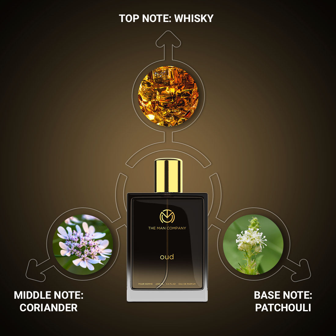 The Man Company Eau De Parfum Oud - 100ml