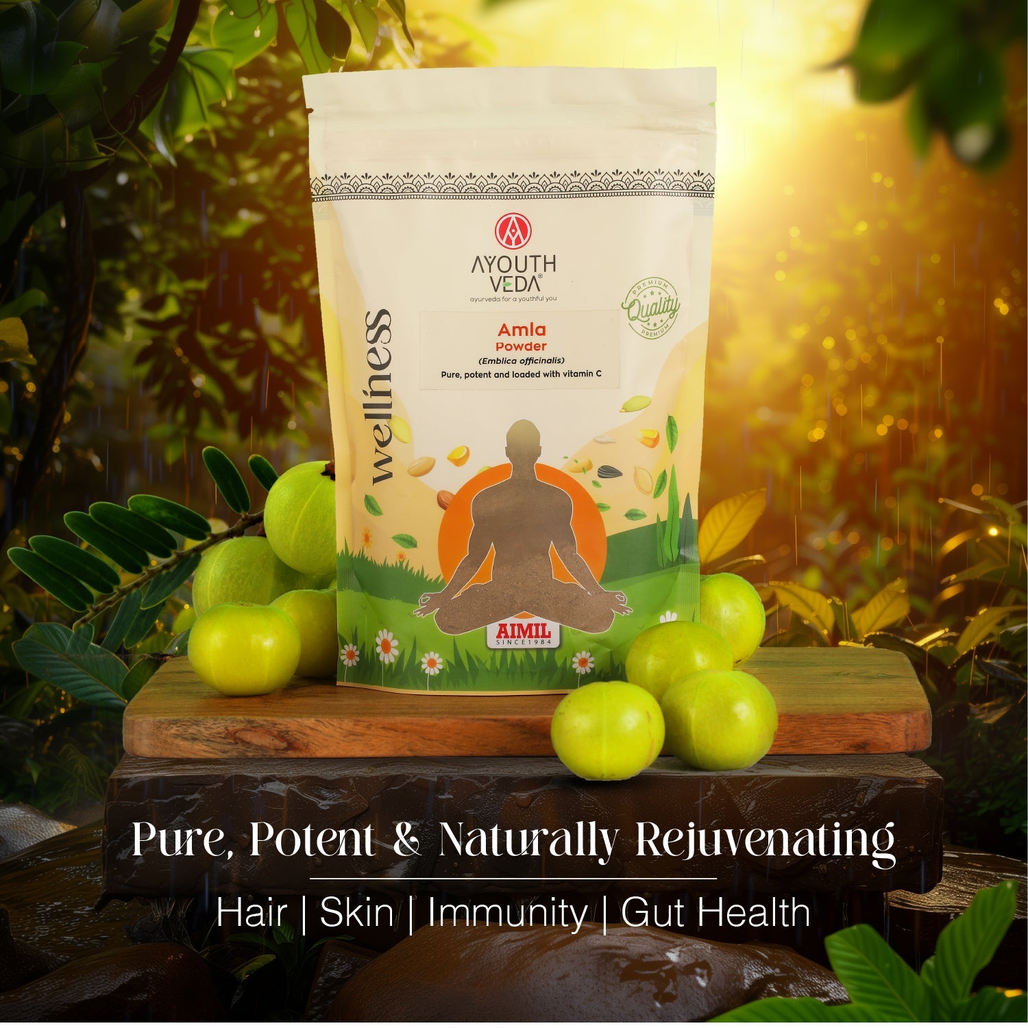 Ayouthveda Amla Powder (Emblica Officinalis)