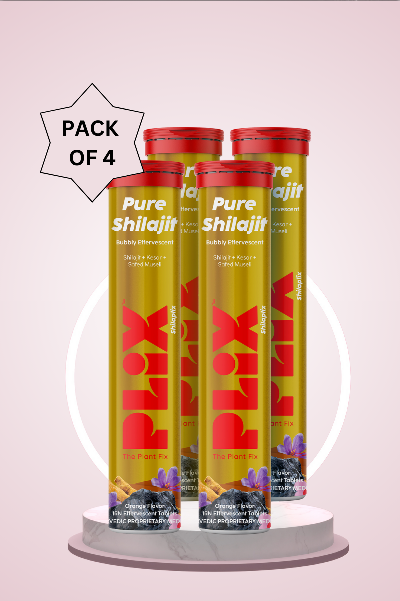 Plix Shilajit Effervescent - 15 Tablets (Orange, Pack of 4)