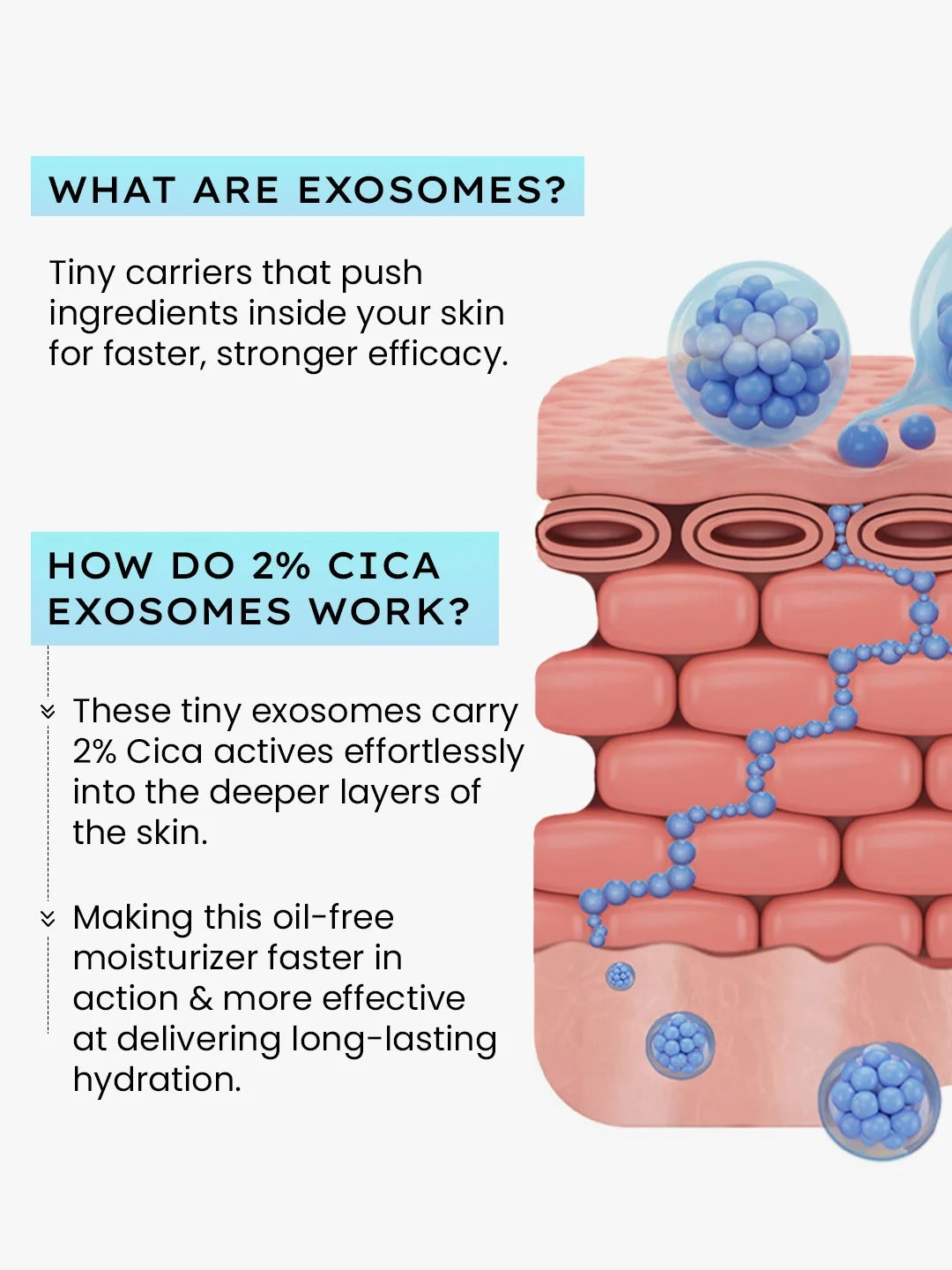 Hyphen 2% cica exosomes oil-free moisturizer - 100ml