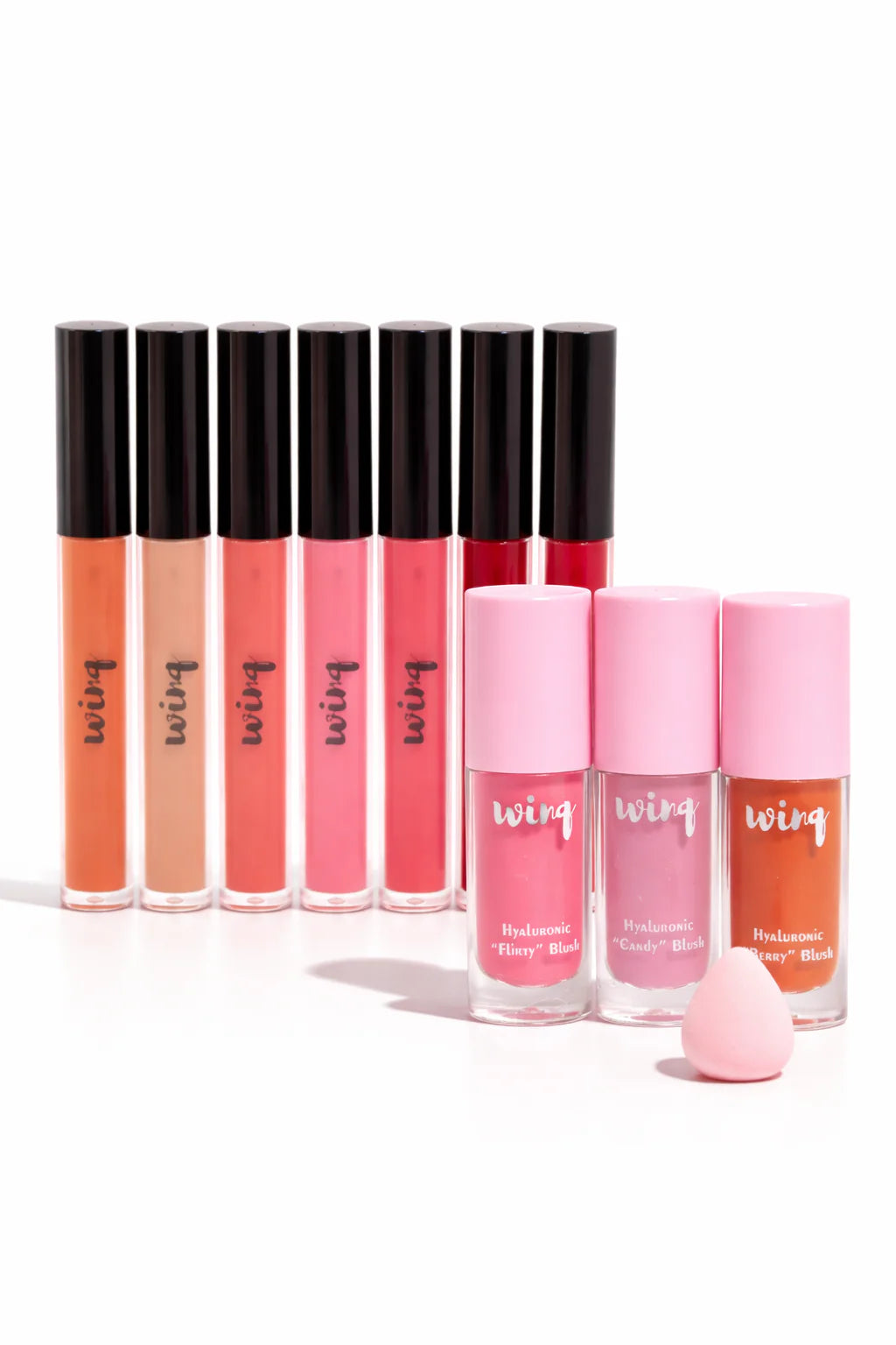 Winq Cosmetics Lipsticks & Blush Combo (10 pc combo) + Free Gifts
