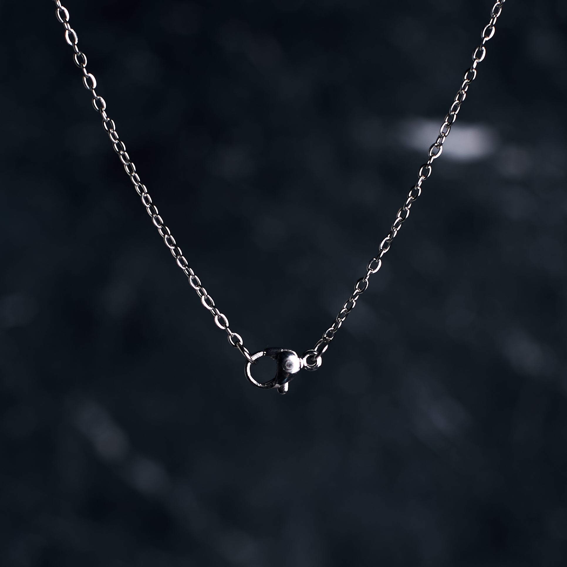 Salty Laurel Silver Chain