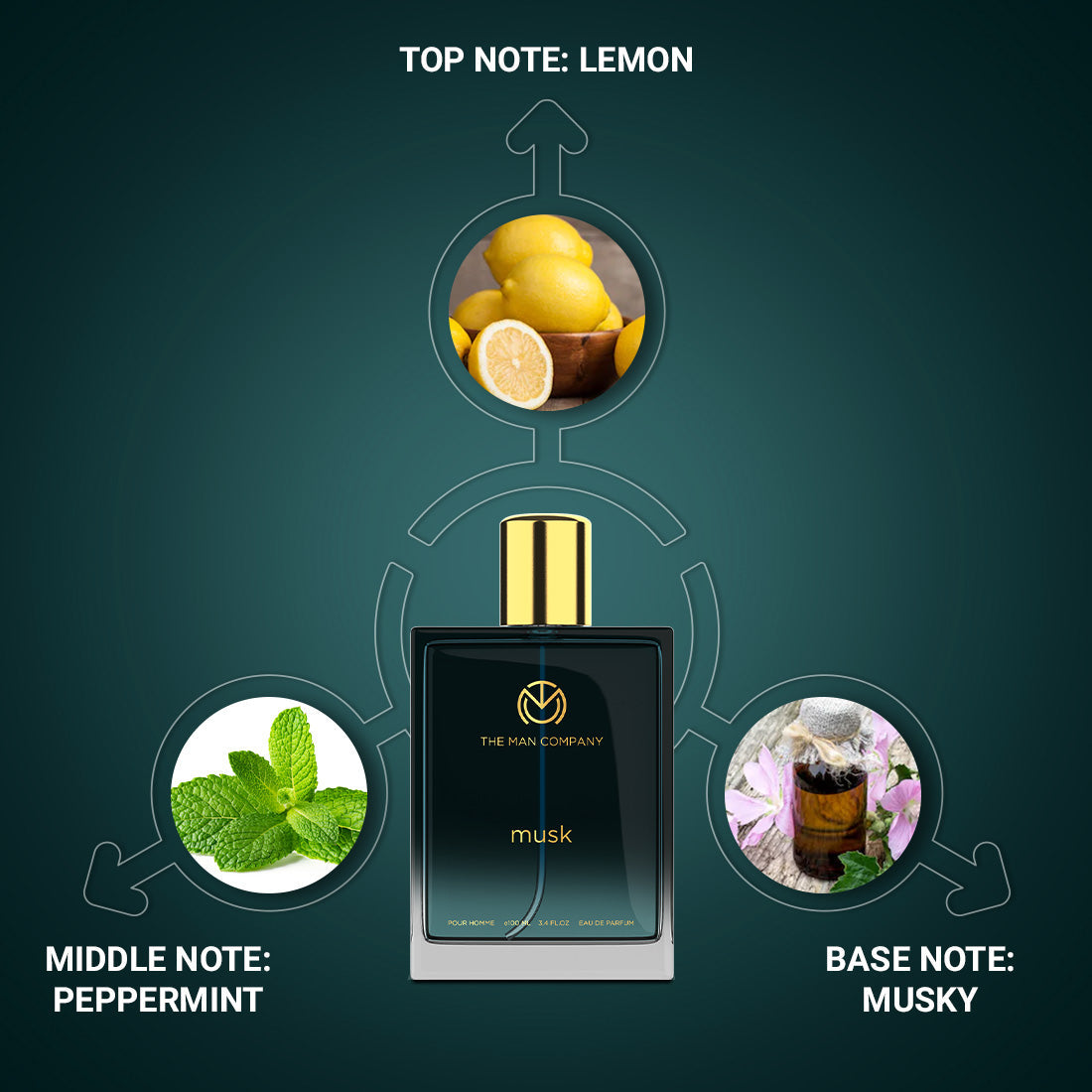 The Man Company Eau De Parfum Musk - 100ml