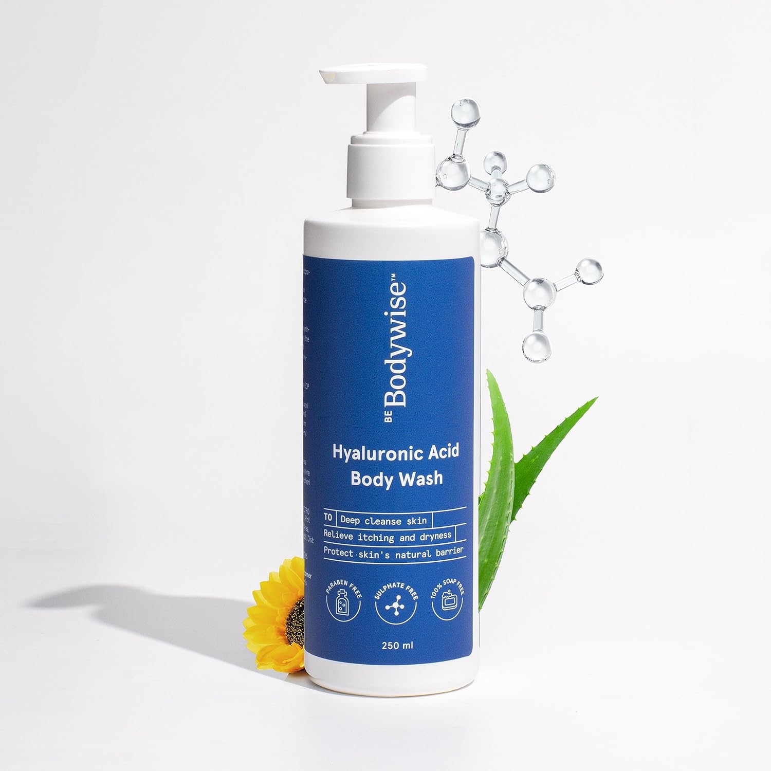 Be Bodywise Hyaluronic & Ceramide Body Wash