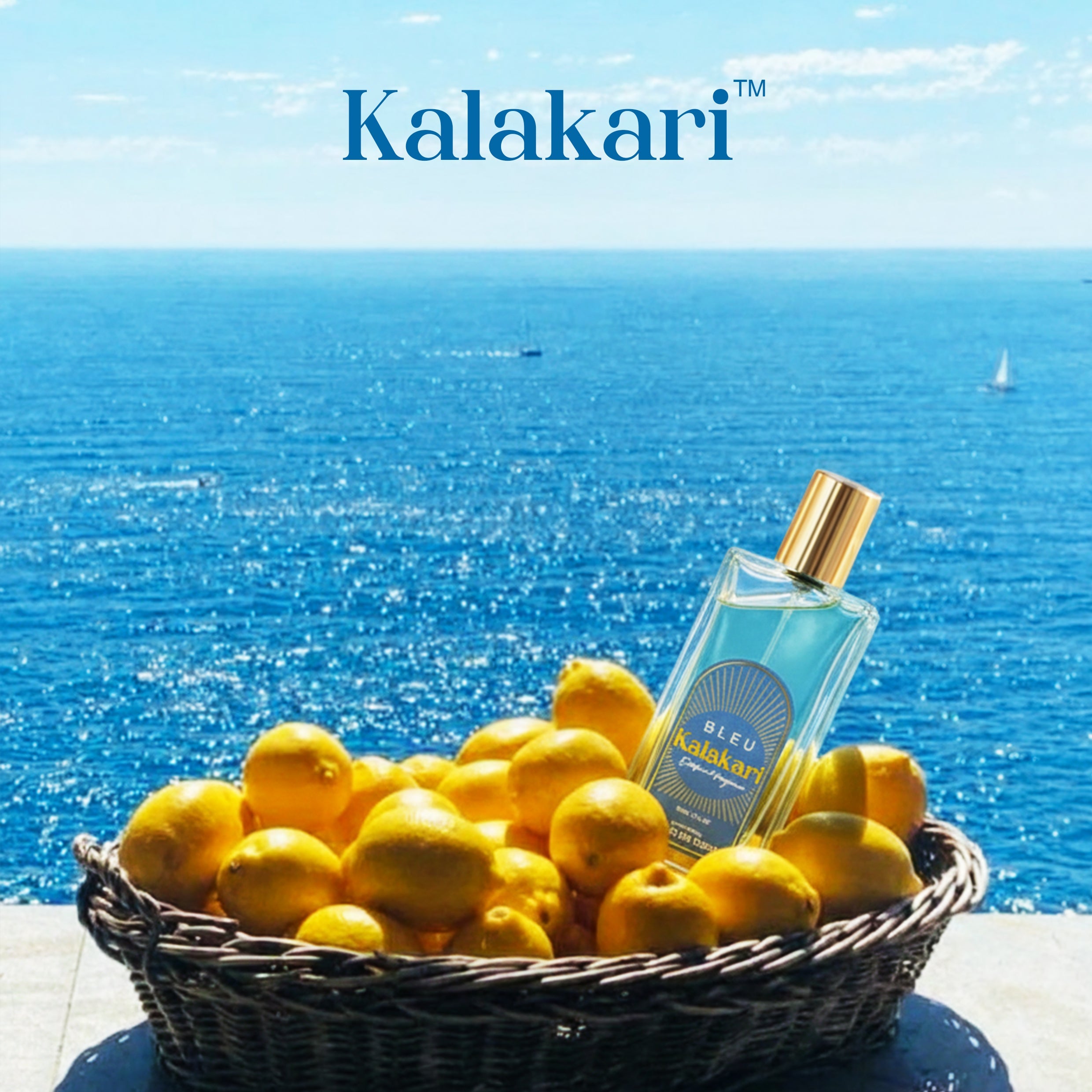 Kalakari Bleu - Fresh Cool - Best Men Fragrance - 50ml