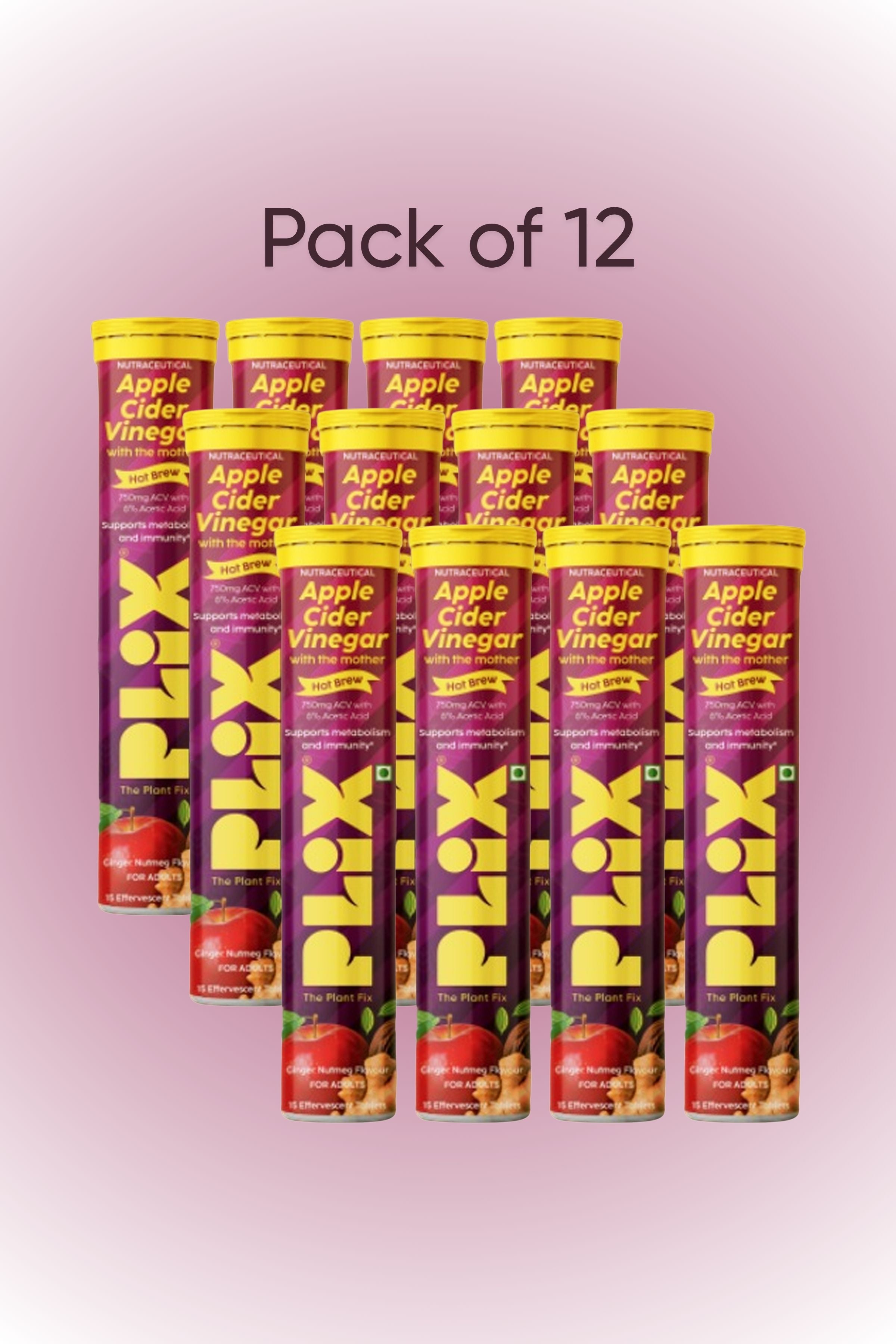 Plix ACV Hot Brew Effervescent (Ginger Nutmeg) -  Pack of 12