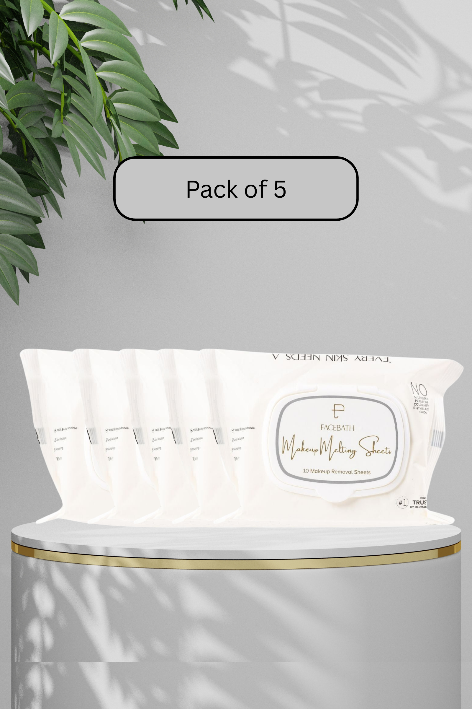 Personal Touch Makeup Melting Skin Care Wipes (10 Sheets) - Pack of 5